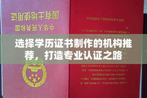 临泉选择学历证书制作的机构推荐，打造专业认证之路